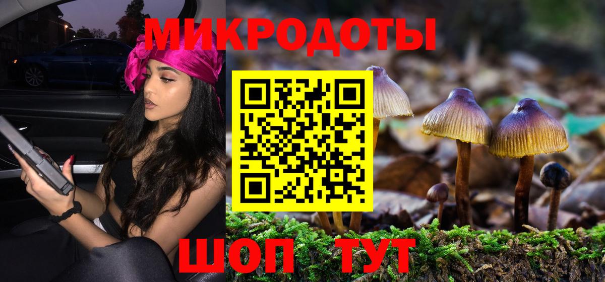 Галлюциногенные грибы Magic Shrooms Владивосток